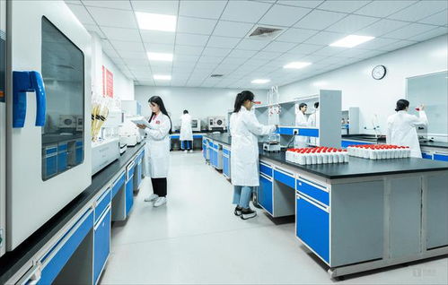 白酒科技如何賦能微生物 從茅臺鎮國臺酒的現代化實踐看生物技術服務新路徑